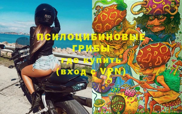 тгк Богородицк