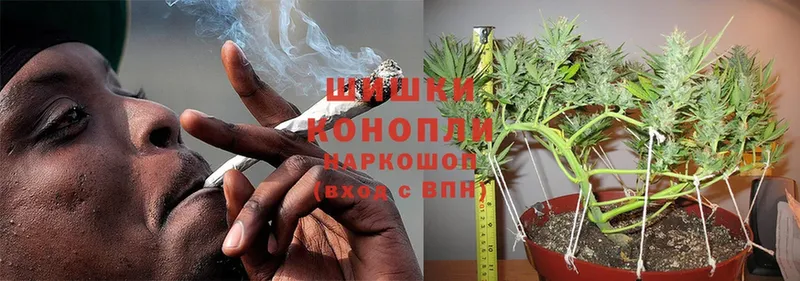 Конопля OG Kush  Поронайск 